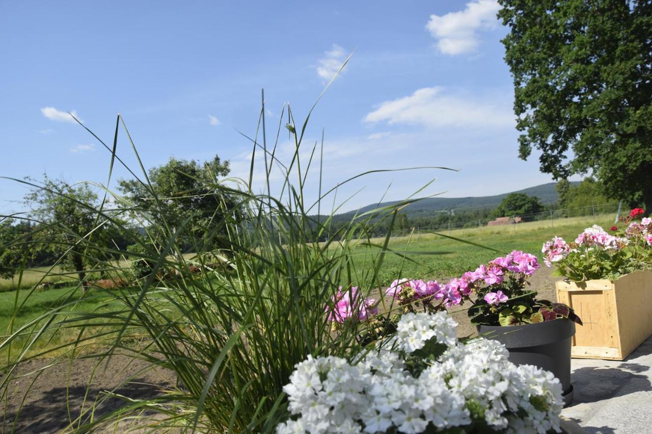 Nowa Kamienica 11 Villa Stara Kamienica Екстериор снимка