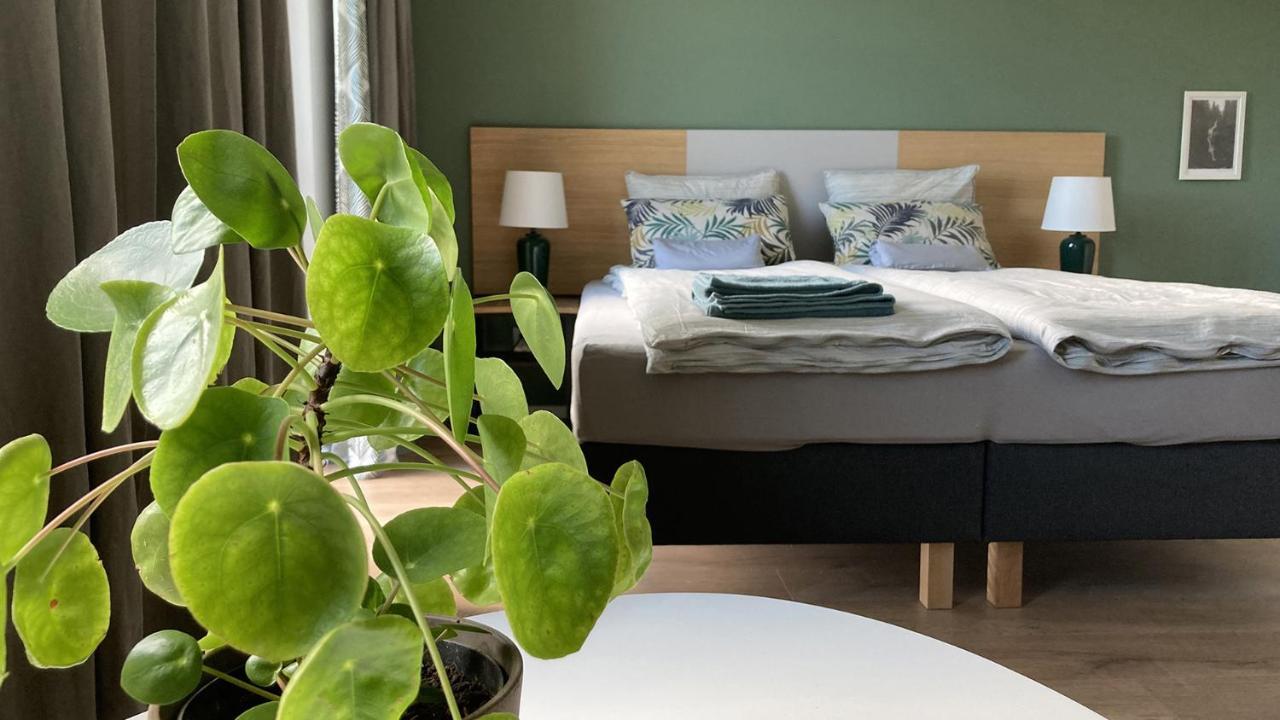 Nowa Kamienica 11 Villa Stara Kamienica Екстериор снимка